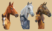 Vector Mare And Foals