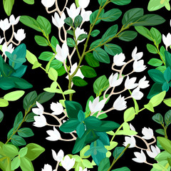 Poster - Hand drawn fresh spring seamless pattern. Floral background design with green leaves, succulent plants and white lily flowers. Vector Illustration.