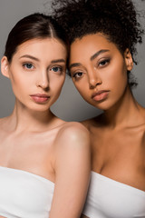 Wall Mural - portrait of multicultural girls looking at camera, isolated on grey