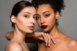 © LIGHTFIELD STUDIOS - portrait of beautiful nude multicultural girls with perfect skin, on grey