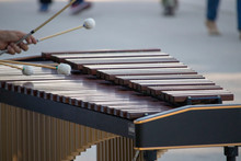Cropped Hand Of Person Playing Xylophone On Street
