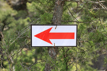 Red Arrow Way Sign On Pine Tree