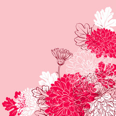 Wall Mural - Chrysanthemum flowers template