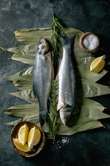 Wall Mural - Raw uncooked fish sea bass