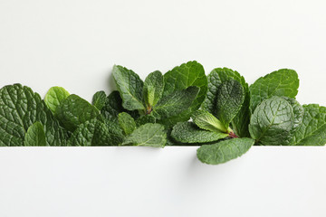 Poster - Fresh mint on white background, space for text