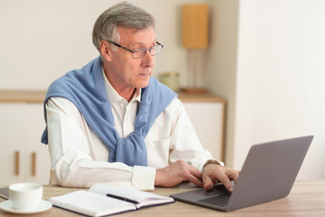 Wall Mural - Serious Gentleman Using Laptop Typing Business Report In Office