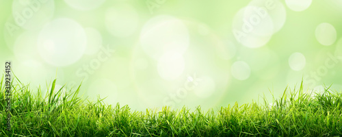 Fotografía A fresh spring sunny garden background of green grass and blurred foliage bokeh