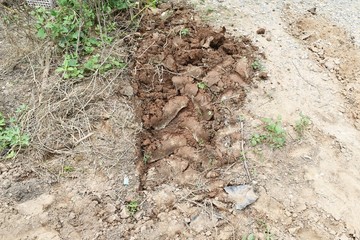 Wall Mural - lots tire track on dirty soil ground for abstract background