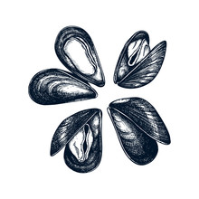 Cooked Mussels Illustrations. Shellfish And Seafood Restaurant Design Element. Hand Drawn Mussels Sketch Isolated On White Background. For Menu, Recipes, Logos, Flyer Or Invitation.