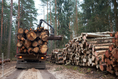 Logging truck loading logs in forest Poster Mural XXL