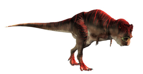 Aufkleber - Tarbosaurus was a carnivorous theropod dinosaur, a type of tyrannosaur, it lived during the Cretaceous in Mongolia. Here shown on a white background. 3D Rendering.