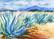Mexican Landscape With Agave And Agave Plantation, Watercolor Illustration.