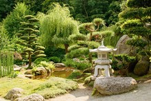 Beautiful Decorative Japanese Garden In Summer Time