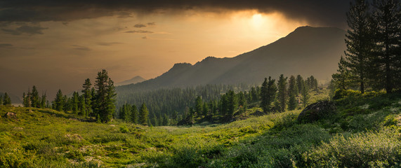 Panoramic view with mountain range, evergreen cedar trees, green grass valley and dramatic clouds sunset in Chamar-Daban, Siberia, Russia, national park