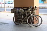 Fototapeta  - rowery w kamuflażu