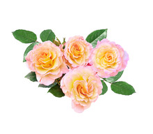 Bunch Of Pink-yellow Rose Flowers Isolated On White Background