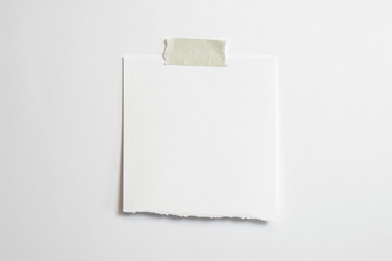 Wall Mural - Blank torn polaroid photo frame with soft shadows and scotch tape isolated on white paper background as template for graphic designers presentations, portfolios etc.