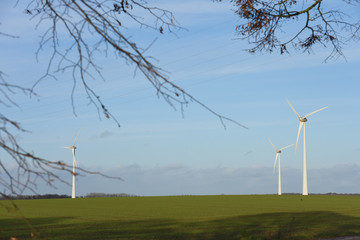 Canvas Print - éolienne vent energie vert environnement