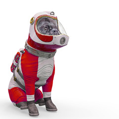 dog the astronaut sitting with a space copy in white background