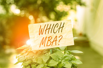 Wall Mural - Word writing text Which Mbaquestion. Business photo showcasing asking for master s is degree in business administration Plain empty paper attached to a stick and placed in the green leafy plants