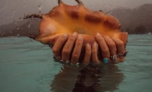 Woman Holds Conch Sea Shell While Swimming In Lagoon