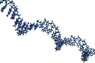 Poster - 3D image of RNA macromolecule skeletal formula - molecular chemical structure of single stranded ribonucleic acid isolated on white background,