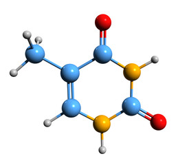 Wall Mural - 3D image of thymine skeletal formula - molecular chemical structure of  5-methyluracil isolated on white background,