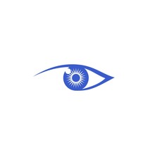 Eye Logo Design Concept, Flat Style Logo