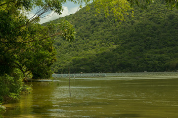 Lake with calm, green water with forested mountains in the background