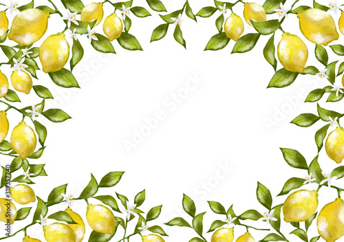 レモン 水彩 フレーム 植物 果実 実 フルーツ 飾り枠 フレーム おしゃれ Stock ベクター Adobe Stock