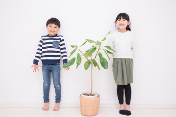 Wall Mural - 観葉植物と笑顔の子供