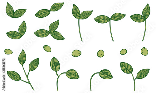 植物のイラスト 葉っぱ 葉脈 実 Stock Vector Adobe Stock