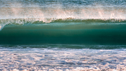 Wall Mural - Large incoming wave on the Pacific Ocean coastline, Point Reyes National Seashore California