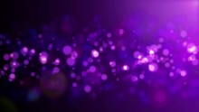 Beautiful Defocused Purple Bokeh  Background