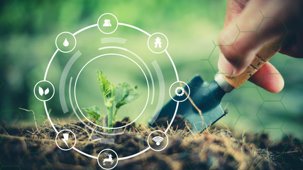 Wall Mural - hand planting equipment and Red bucket watering the plants with environment Icons over blurred green nature background.growing plant for save the earth concept.World environment day concept