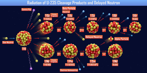 Wall Mural - Radiation of U-235 Cleavage Products and Delayed Neutron (3d illustration)