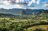 Fototapeta Mapy - Beautiful view of mogotes in Vinales Valley, Cuba - known for tobacco plantations