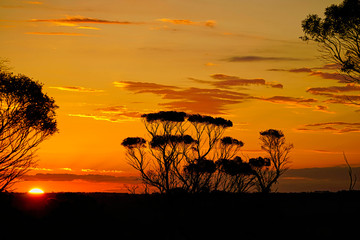 Wall Mural - sunset in Australia