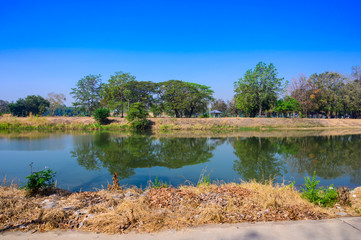 Wall Mural - Ping river at Kamphaeng Phet province