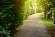© sutichak - pathway in green nature of public park of walking relaxation