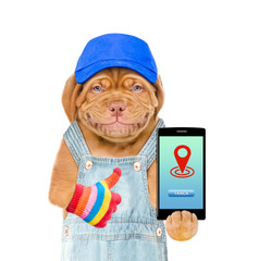 Aufkleber - Smiling puppy wearing a blue cap and overalls holds smartphone with tracking symbol and shows thumbs up. Tracking concept. Isolated on white background