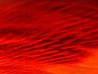 © Bogdan - red clouds