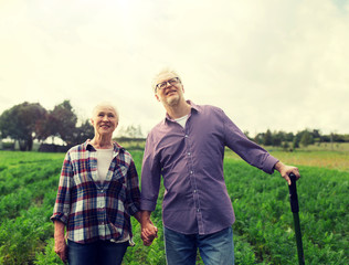 Wall Mural - farming, gardening, agriculture and people concept - happy senior couple at summer farm