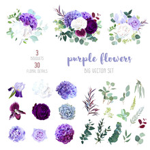 Dark Purple Garden Rose, Plum Orchid, White And Violet Rose, Lilac Hydrangea