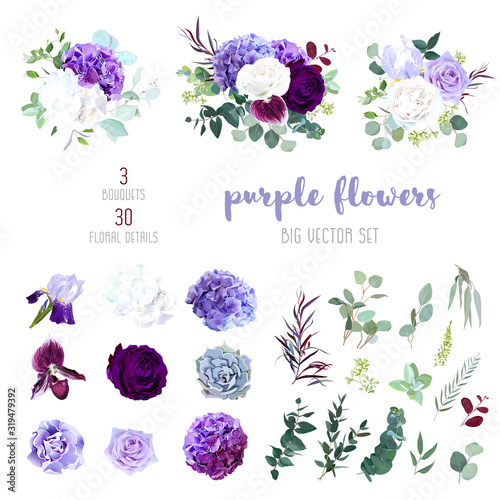Cuadros en Lienzo Dark purple garden rose, plum orchid, white and violet rose, lilac hydrangea