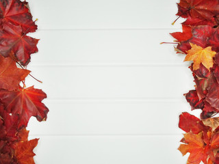 Wall Mural - autumn forest with maple trees on wooden background