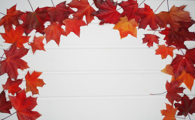 Wall Mural - autumn forest with maple trees on wooden background
