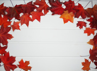 Wall Mural - autumn forest with maple trees on wooden background