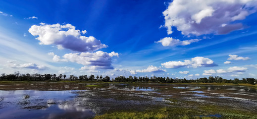 Canvas Print - beautiful clouds and blue sky in the nature background