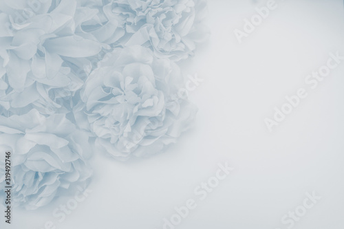 Fotografía Beautiful abstract color purple and blue flowers on white background and blue fl